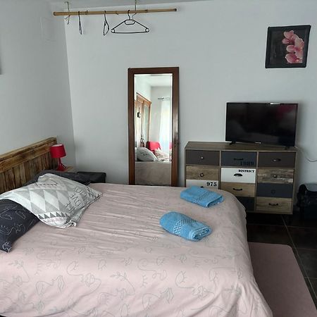 Proprietaire Prive Bed and Breakfast Carcassonne Buitenkant foto
